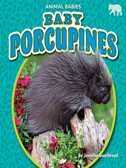 Title details for Baby Porcupines by Jennifer Boothroyd - Available